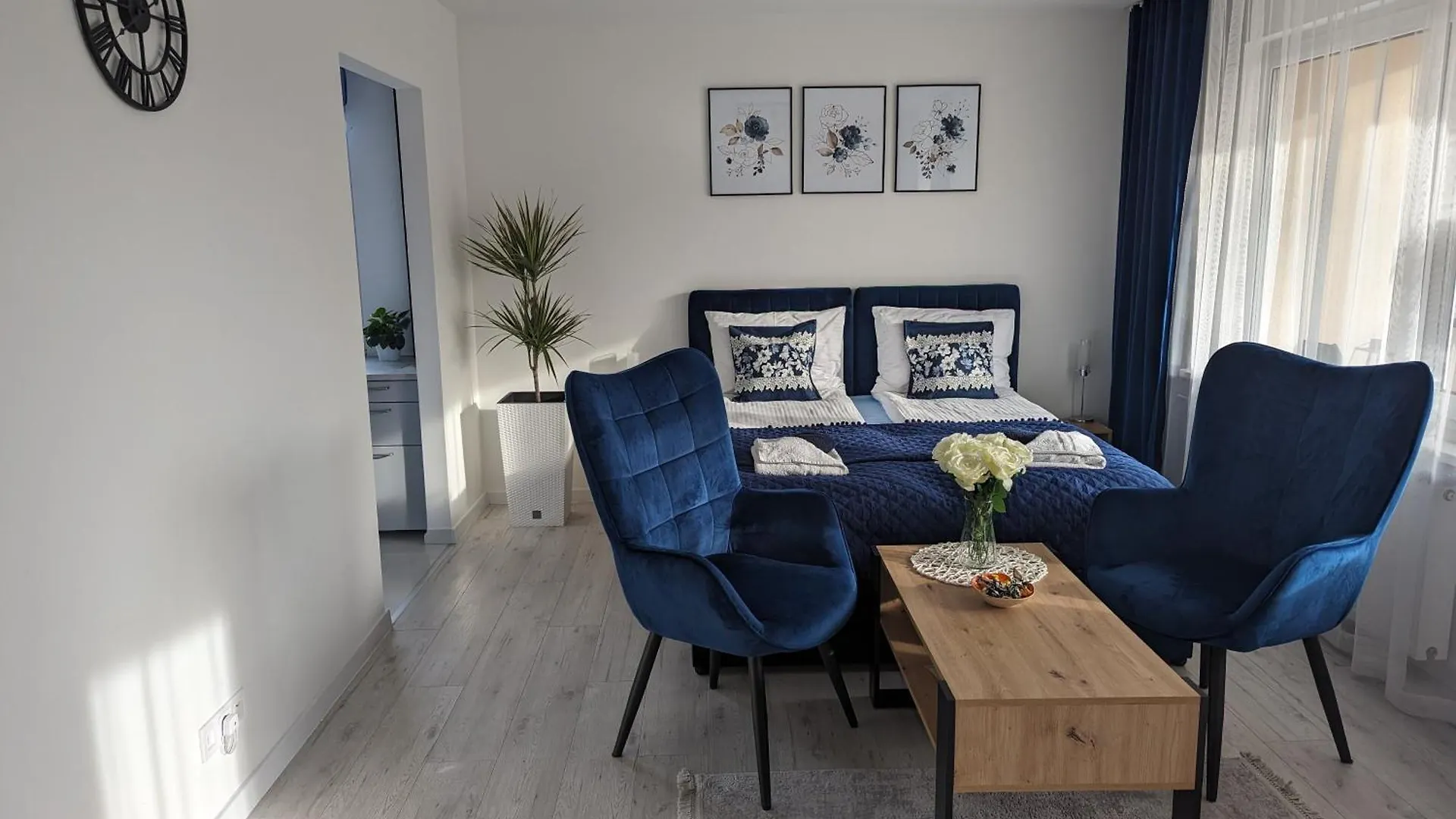 Apartament Piccolo contacts